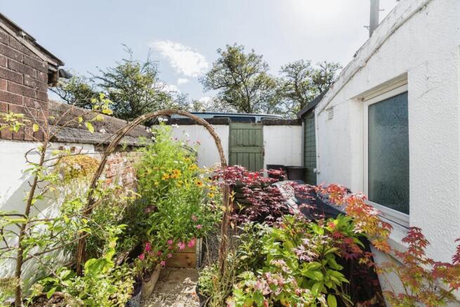 Rear Yard