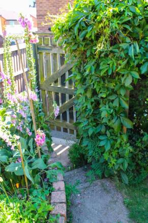 Photo 20