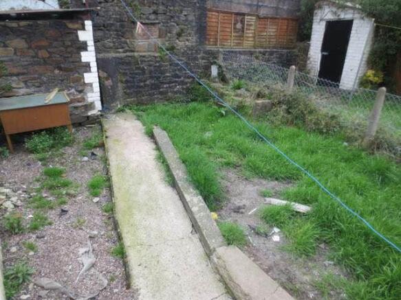 Back Garden