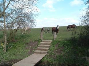 Rear Garden To Field