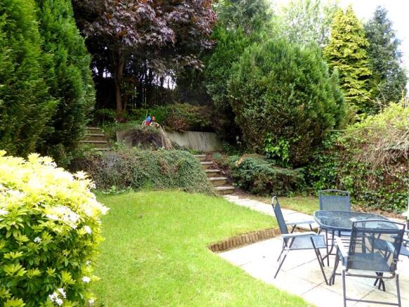 Photo 11