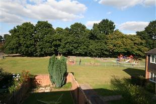 View From Rear Of Property