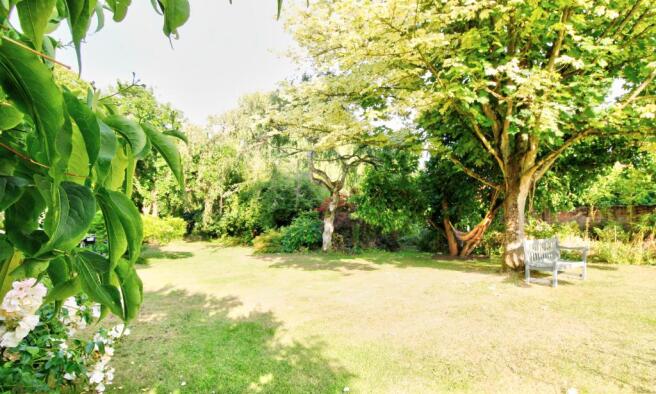Garden 6