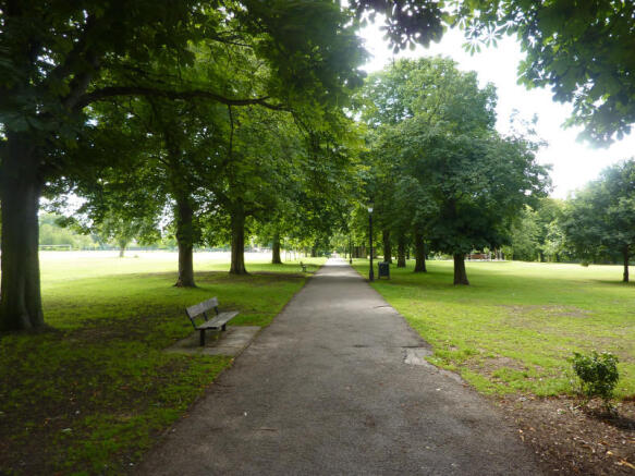 Picture 9