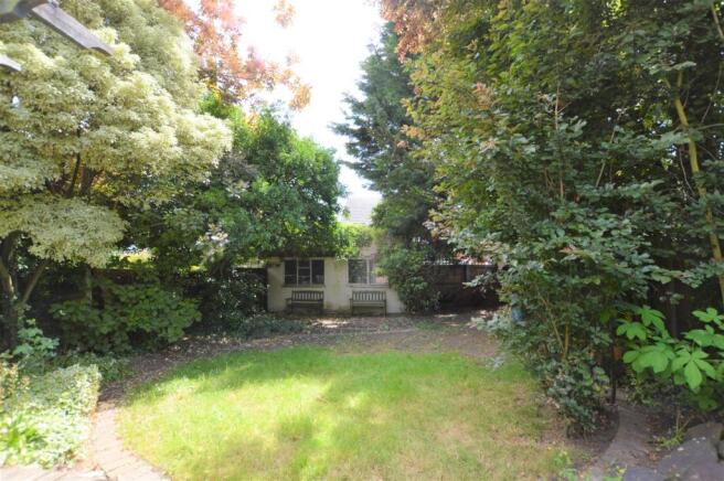237 Percy Road Garden 5.JPG