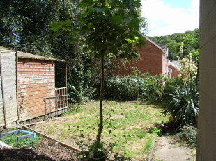 Side garden area