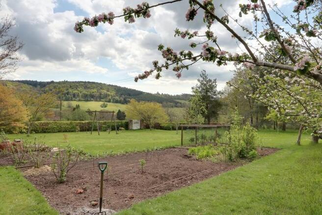 Vegetable Garden