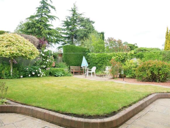 garden 2.JPG