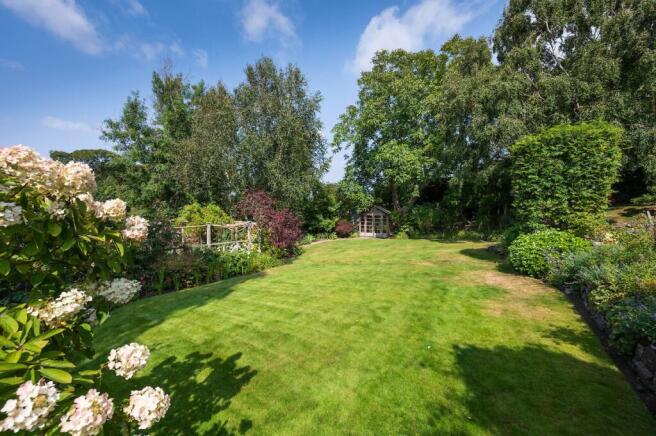 Lawn