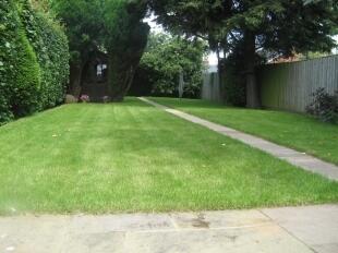 Rear Garden 4