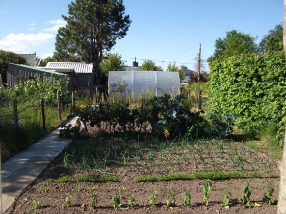 Vegetable Area