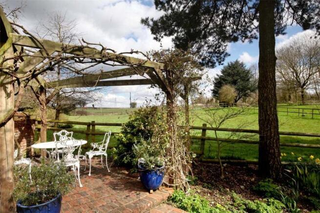 Woodrow: Terrace