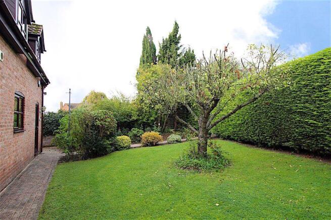 Garden at Back