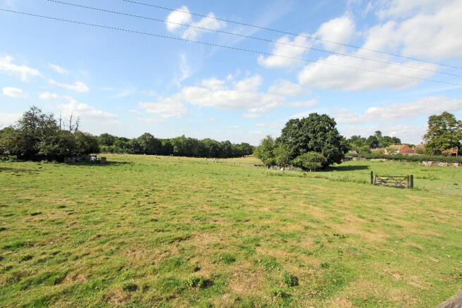 Fields Behind Garden