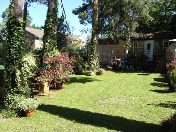 Photo 8