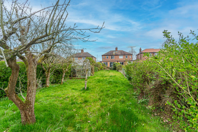 Rear Garden & Elevation