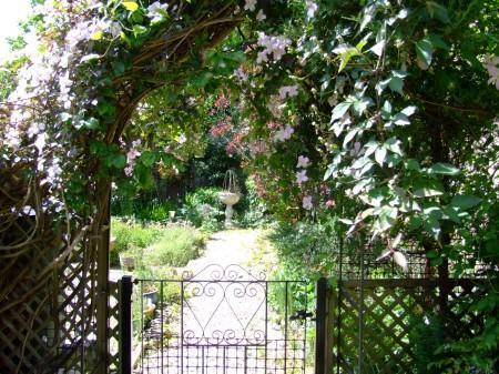 Photo 7