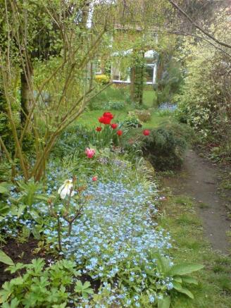 37GWS_garden16.jpg