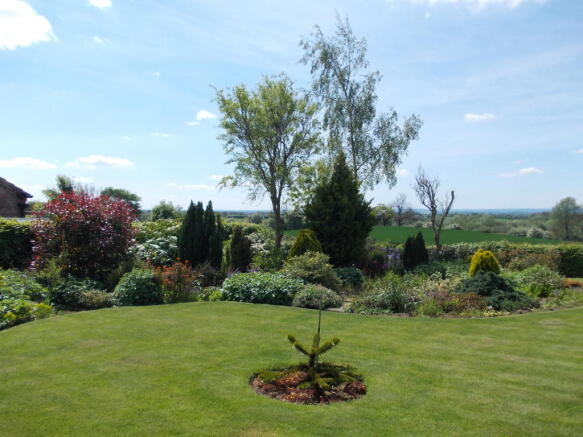 Photo 49