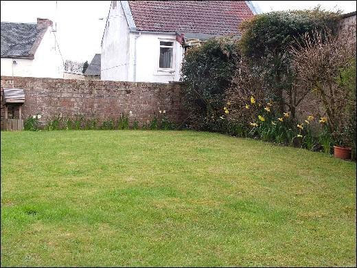 Back Garden