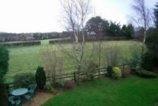 View from Master Bed