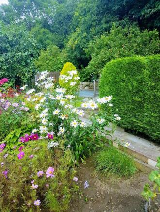 Garden in summer
