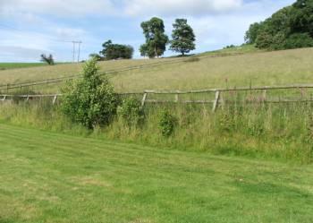 Rear Paddocks