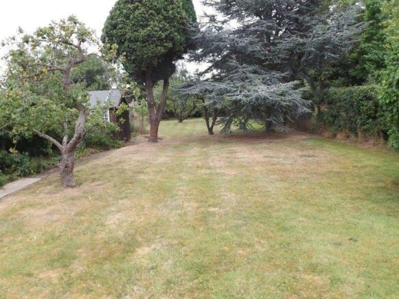garden 6