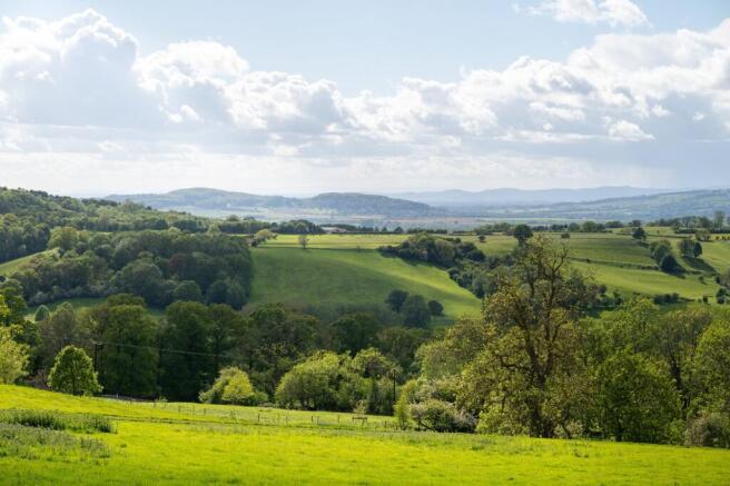 Land and View