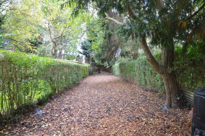 BACK GARDEN