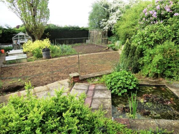 Vegetable Garden