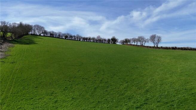 St. Pinnock, Liskeard, PL14 photo 4