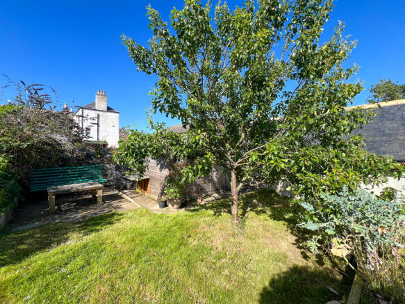 Garden 3