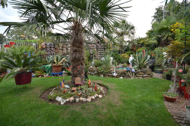 Photo 15