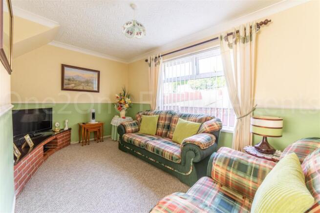14 SHELLEY GREEN-11.jpg