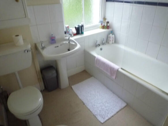 Picture 5