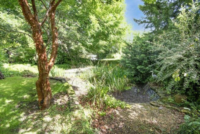 Pond