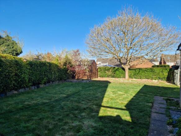 Garden 2.jpeg