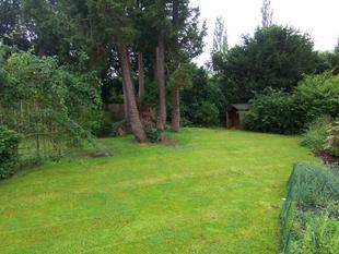 Side Garden