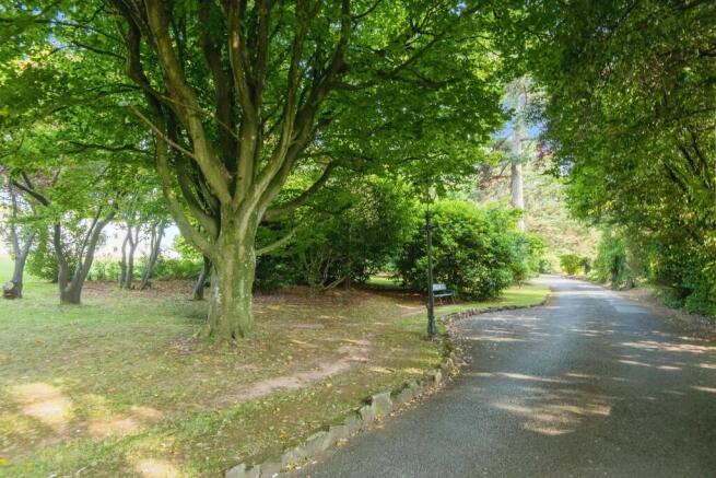 Driveway