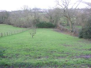 Paddock