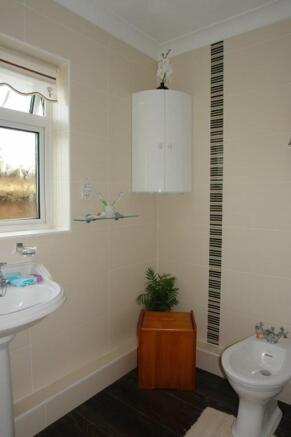 Picture 17