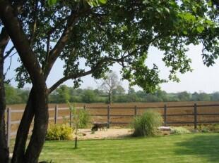 Garden and View