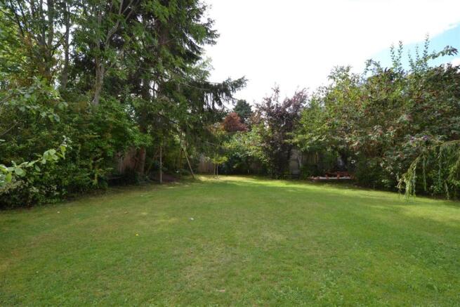 new garden1.JPG