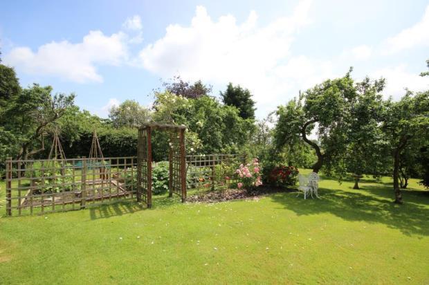 Vegetable Patch