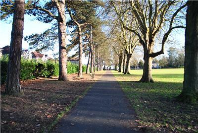 Page Park