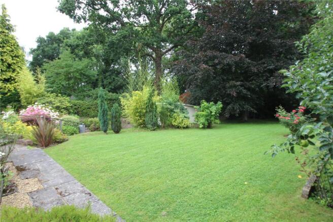 Picture No. 11