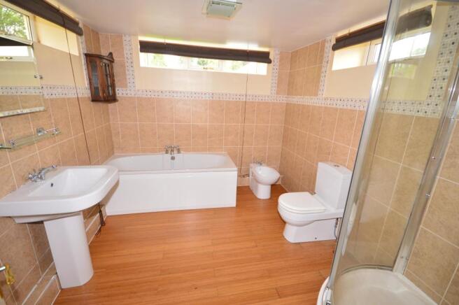 Photo 11