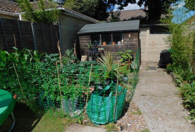 Photo 11