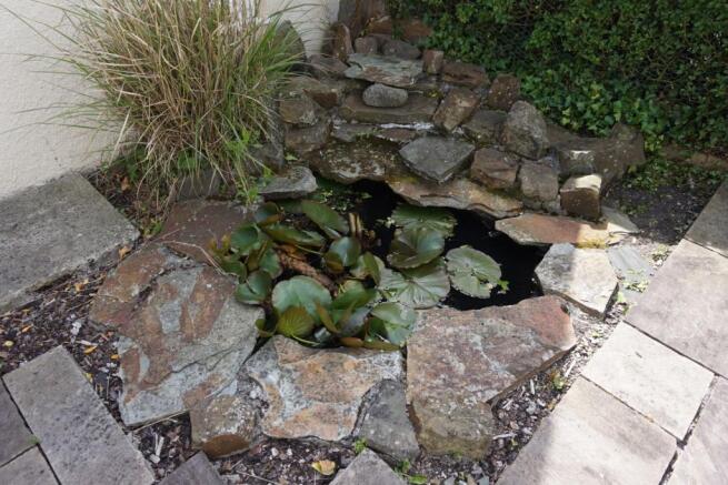 Pond